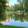 Самара. Воронежские озера :: Надежда