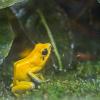 Orientarium ZOO Łódź :: Светлана Ищенко