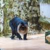 Orientarium ZOO Łódź :: Светлана Ищенко