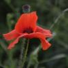 " Вынужденная остановка.." :: Надежда Куркина