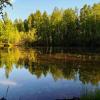 Вечер в парке :: Александр 