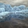 В голубом сне... :: Николай Гирш