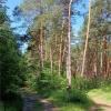 На перекрестке лета :: Геннадий Худолеев Худолеев