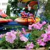 В парке :: Alisia La DEMA