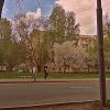 Весна. :: Владимир Драгунский