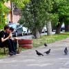 Ждут угощения :: Юрий Гайворонскiий
