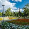 Городской летний пейзаж :: Александр Синдерёв