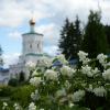 Солотчинский монастырь :: Lersa 
