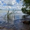 Вода манила… :: Любовь