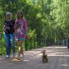 Прогулки в Летнем Парке :: юрий поляков
