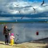 подсмотрено в Петербурге. :: Владимир Иванов ( Vlad Petrov)