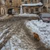 Март :: Александр Лисовский