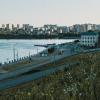 УТРО, ЛЕТО и ЦВЕТЫ :: Владимир Максимов