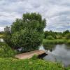 Река Серая :: Денис Бочкарёв
