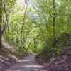 Старая дорога :: Gen 