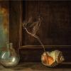 /*/ :: Oleg Rastorguev