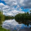 Природа на Сормовском озере :: Александр Синдерёв