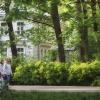 Парковые зарисовки. :: Лилия *