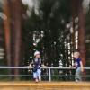 *Когда деревья были большими* :: Владилен Панченко
