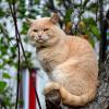 Эх.скоро  лето закончится... :: Михаил К