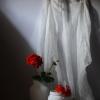 Натюрморт с геранью. :: Оксана Евкодимова