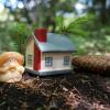 Хорошо иметь домик в лесу! :-) :: Андрей Заломленков