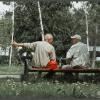 Душевный разговор :: Михаил Кобзев