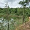 Лесное озеро :: Наталья Герасимова