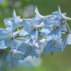 Природа :: Виктор Иванович Чернюк