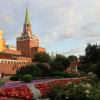 Александровский сад :: Дмитрий И_