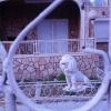 118 (73) :: CLOSE WAYS ALL