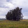 Просторы :: Сергей Цветков