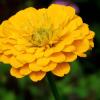 Природа :: Leonid Rutov