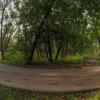 Прогулки в Летнем Парке :: юрий поляков