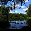 Природа :: kolyeretka 