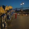 Селфи :: Yevgeniy Malakhov