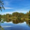 НА ОЗЕРЕ СВЕТЛОМ. :: Лилия *