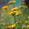 Природа :: Yuriy V