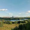 Москва из Коломенского :: Nataly St. 