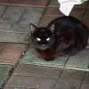 КоТоГраФия :: Константин Сафронов