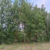 природа :: Владимир 