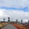 Территория замка Гарибальди :: Ирэн 