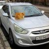 Автомобиль для кота :: Сергей Карачин
