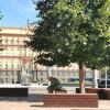 Повседневная жизнь :: Любимова Ольга 