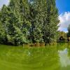 Сад Бенуа,Санкт Петербург :: Laryan1 
