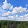проверяют лес :: Владимир 
