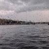 Нева в дождь. :: Лилия *