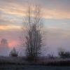 Природа :: Елизавета .