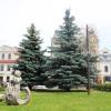 Город Гродно,Беларусь :: Любовь ***