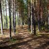 осень :: Александр 